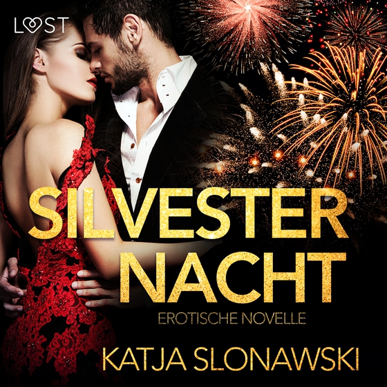 Silvesternacht: Erotische Novelle