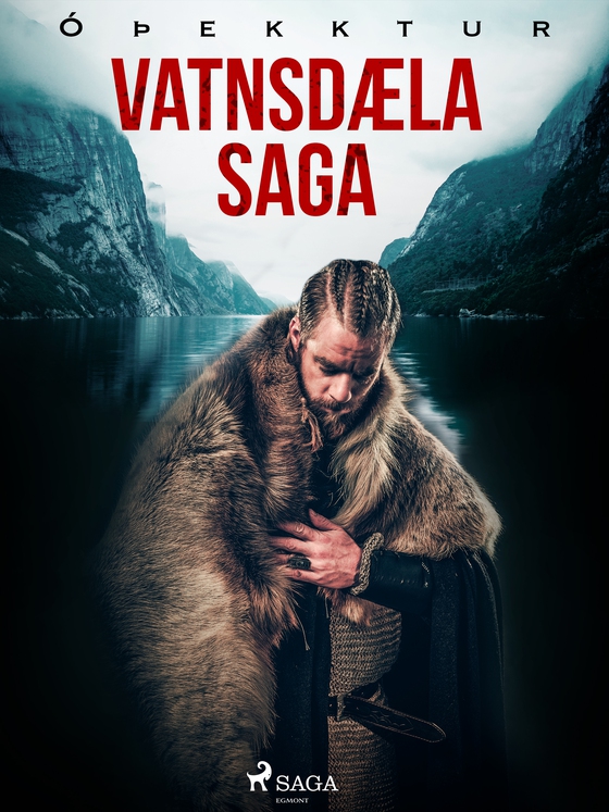 Vatnsdæla saga (e-bog) af - Óþekktur