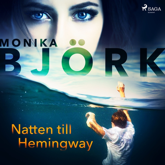 Natten till Hemingway (lydbog) af Monika Björk