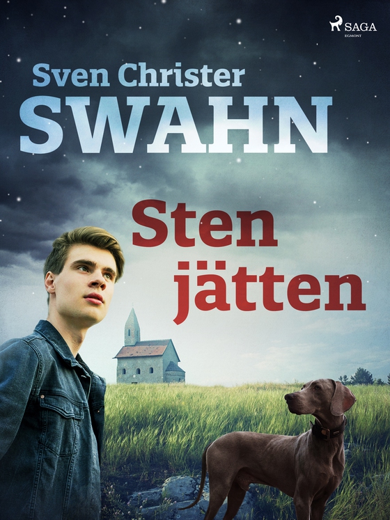 Stenjätten (e-bog) af Sven Christer Swahn