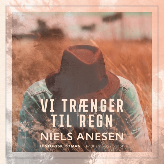 Vi trænger til regn (lydbog) af Niels Anesen