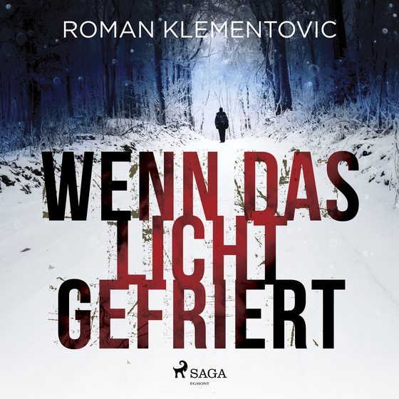 Wenn das Licht gefriert (lydbog) af Roman Klementovic