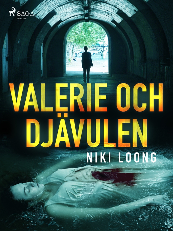 Valerie och Djävulen (e-bog) af Niki Loong