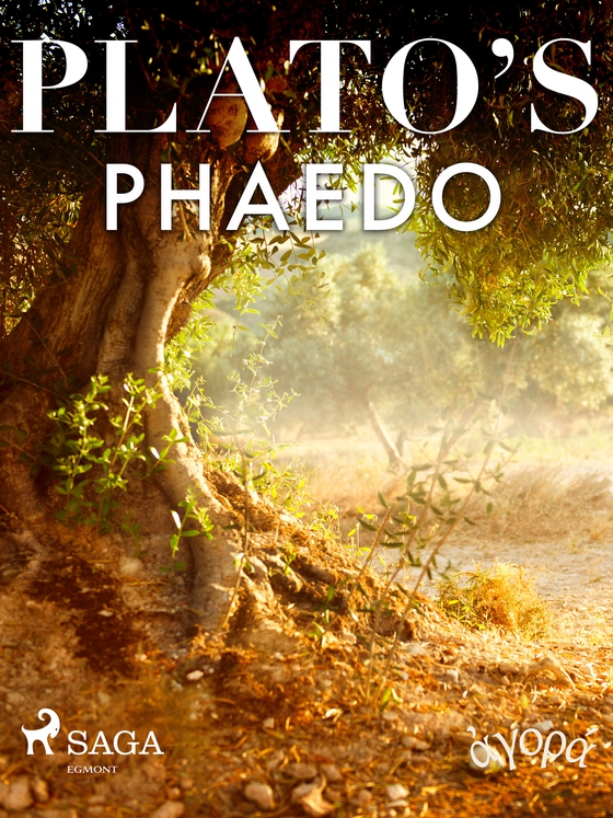 Plato’s Phaedo (e-bog) af – Plato