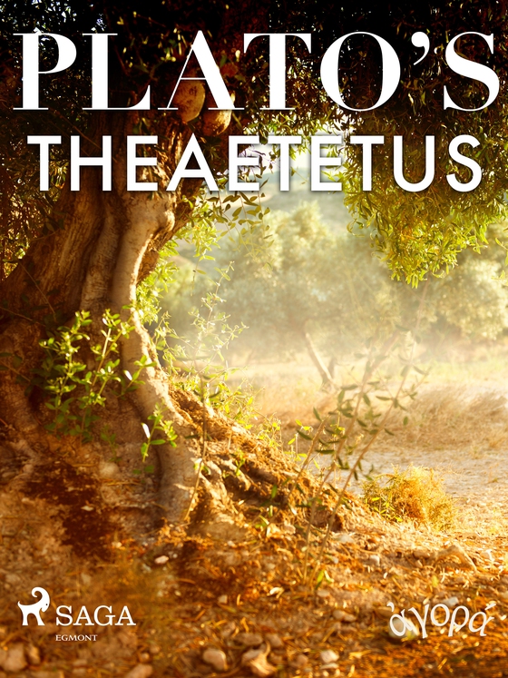 Plato’s Theaetetus