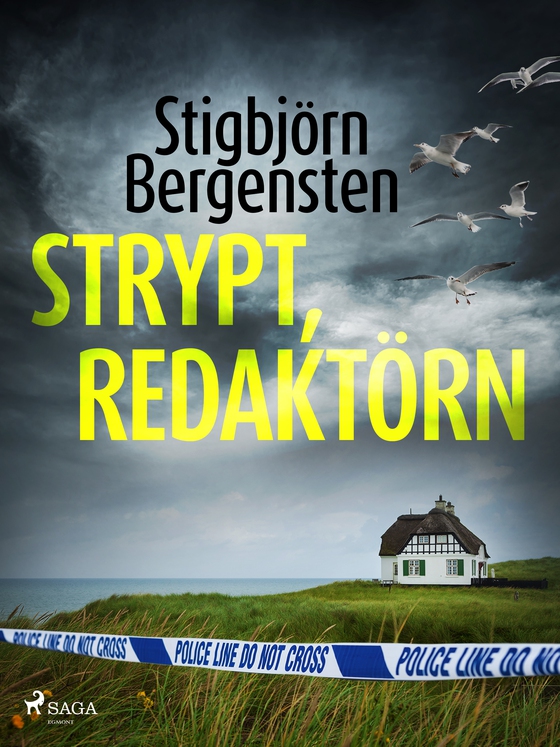 Strypt, redaktörn (e-bog) af Stigbjörn Bergensten