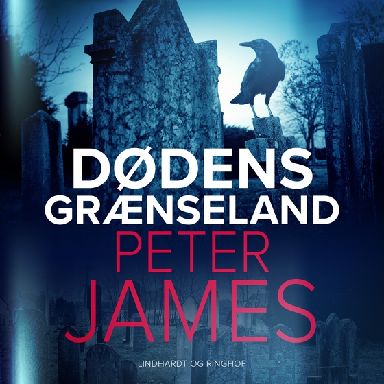 Dødens grænseland (lydbog) af Peter James