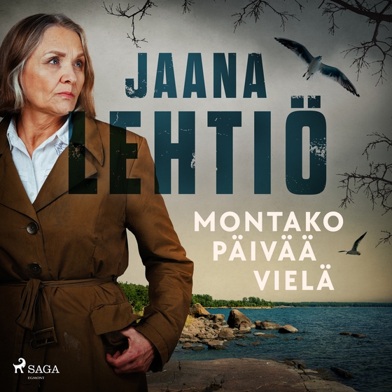 Montako päivää vielä (lydbog) af Jaana Lehtiö