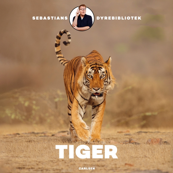 Sebastians dyrebibliotek - Tiger (lydbog) af Sebastian Klein