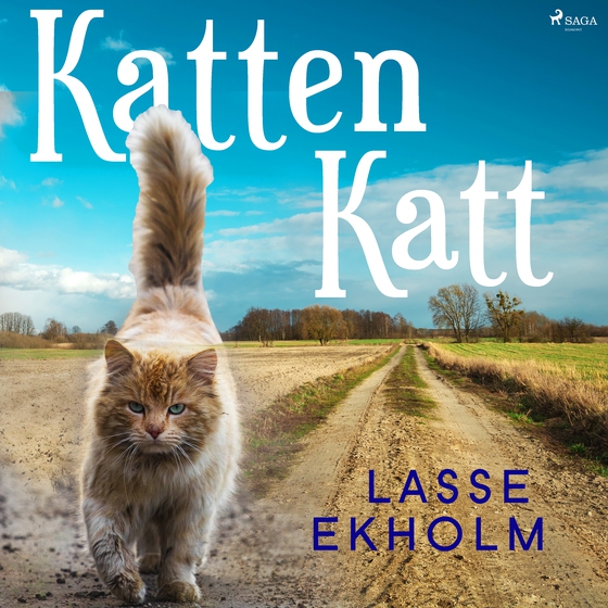 Katten Katt (lydbog) af Lasse Ekholm