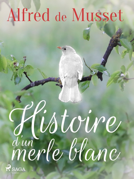 Histoire d’un merle blanc