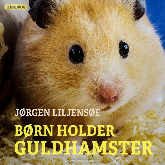 Børn holder guldhamster