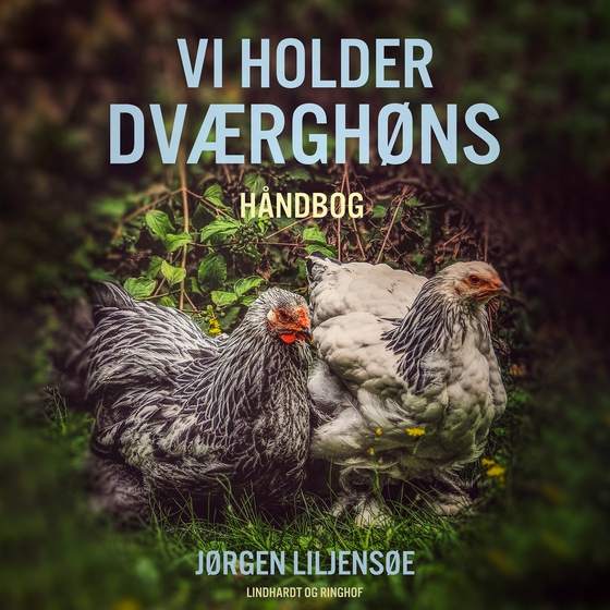 Vi holder dværghøns