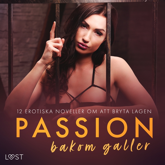 Passion bakom galler: 12 erotiska noveller om att bryta lagen (lydbog) af Camille Bech