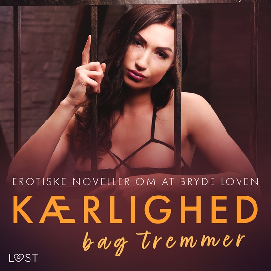 Kærlighed bag tremmer – erotiske noveller om at bryde loven