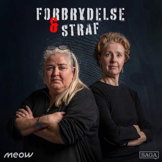 Hård sex som undskyldning for drab (lydbog) af Lone Theils