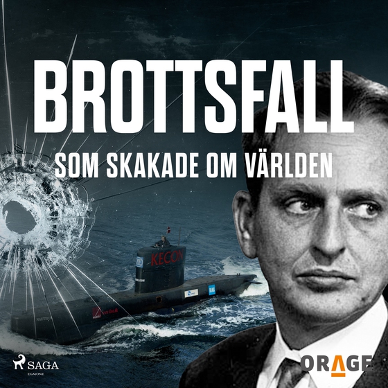 Brottsfall som skakade om världen (lydbog) af Orage