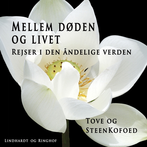 Mellem døden og livet - Rejser i den åndelige verden (lydbog) af Steen Kofoed