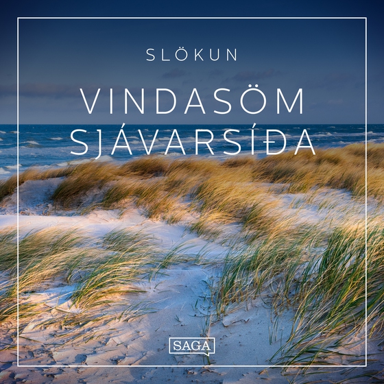 Slökun - Vindasöm sjávarsíða