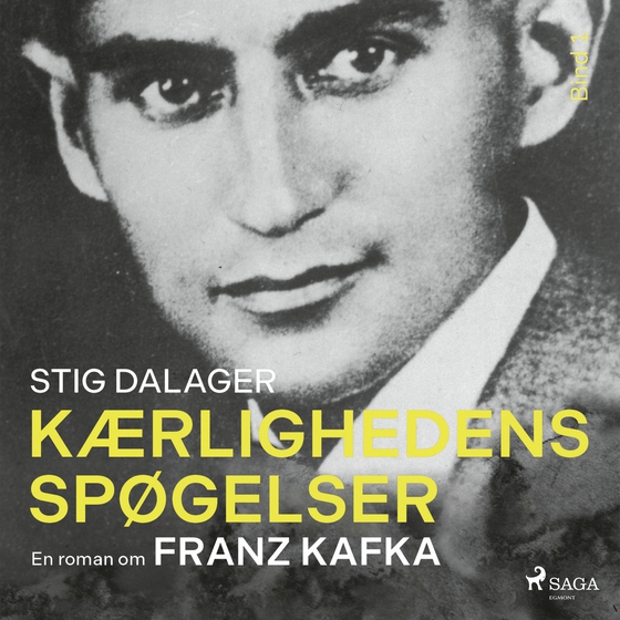 Kærlighedens spøgelser (lydbog) af Stig Dalager