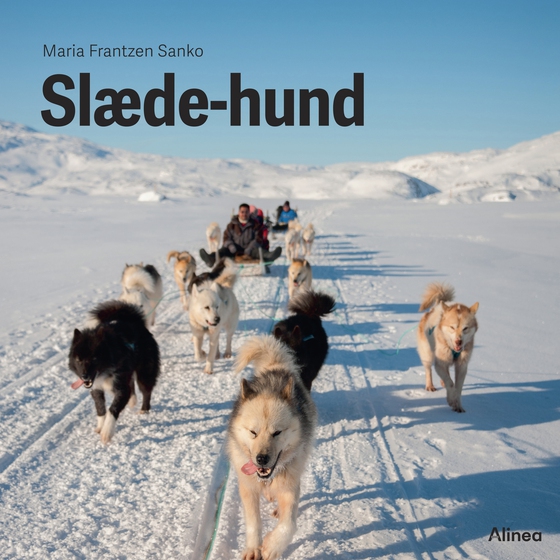 Slædehund, Grøn Fagklub (lydbog) af Maria Frantzen Sanko