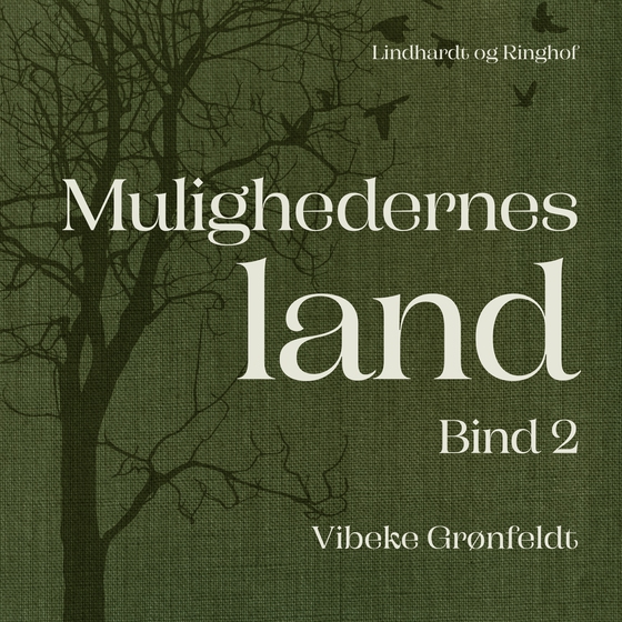 Mulighedernes land. Bind 2 (lydbog) af Vibeke Grønfeldt