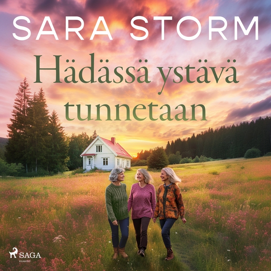 Hädässä ystävä tunnetaan (lydbog) af Sara Storm