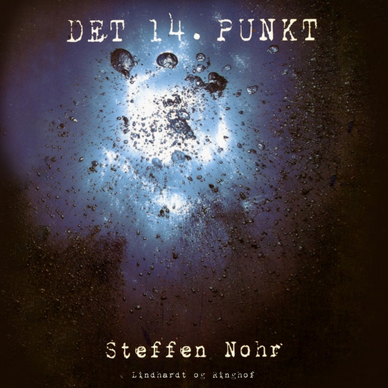 Det 14. punkt (lydbog) af Steffen Nohr