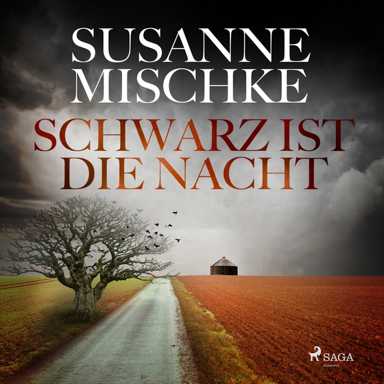 Schwarz ist die Nacht (lydbog) af Susanne Mischke