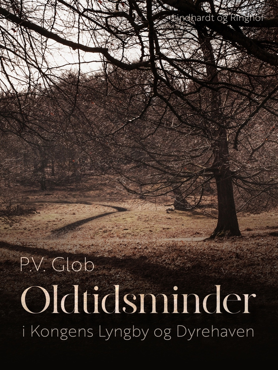 Oldtidsminder i Kongens Lyngby og Dyrehaven (e-bog) af P.V. Glob