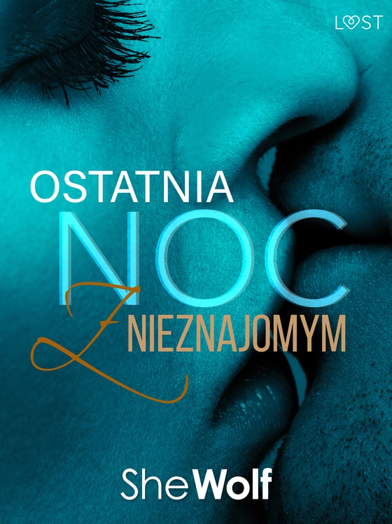 Ostatnia noc z nieznajomym – opowiadanie erotyczne (e-bog) af SheWolf