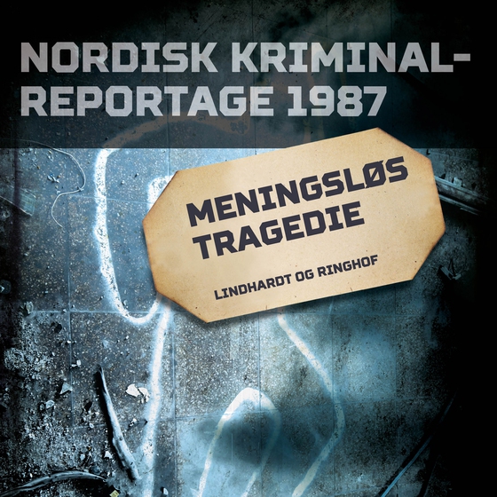 Meningsløs tragedie