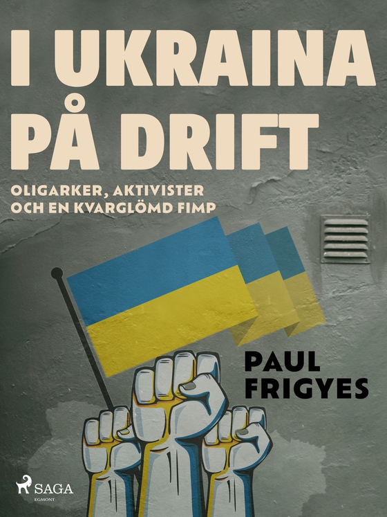 I Ukraina på drift (e-bog) af Paul Frigyes