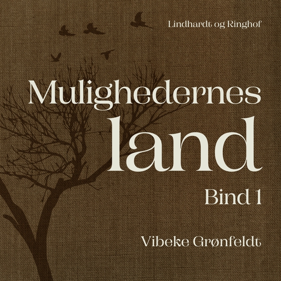 Mulighedernes land. Bind 1 (lydbog) af Vibeke Grønfeldt