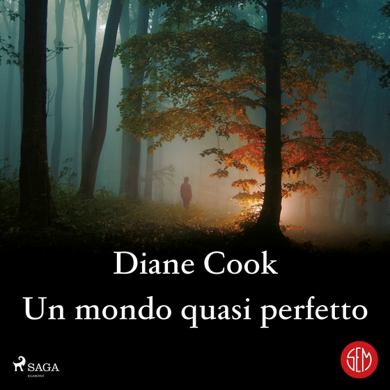 Un mondo quasi perfetto (lydbog) af Diane Cook