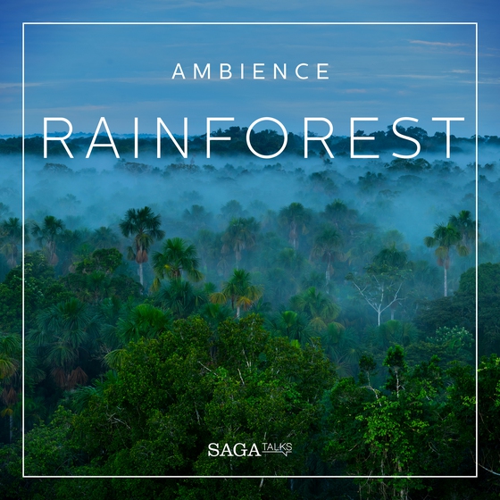 Ambience - Rainforest (lydbog) af Rasmus Broe