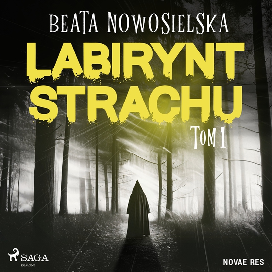 Labirynt strachu. Tom 1 (lydbog) af Beata Nowosielska