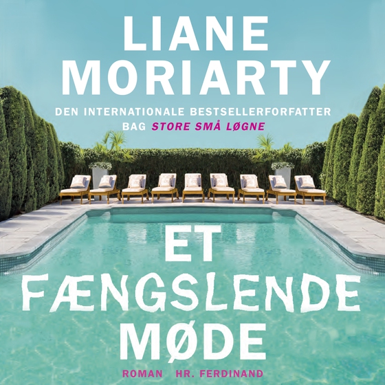 Et fængslende møde (lydbog) af Liane Moriarty