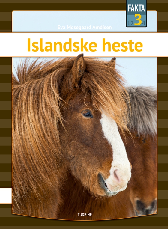 Islandske heste