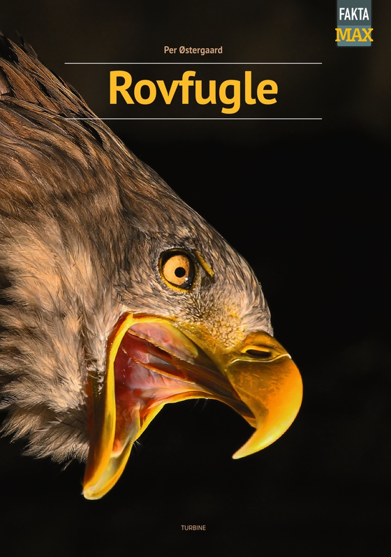 Rovfugle