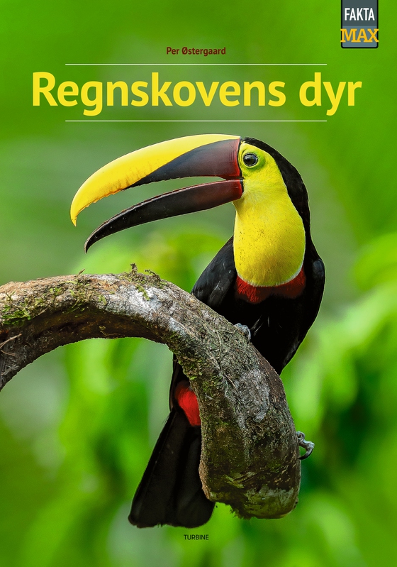 Regnskovens dyr (e-bog) af Per Østergaard