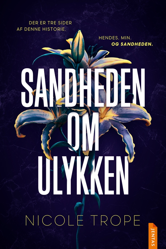 Sandheden om ulykken