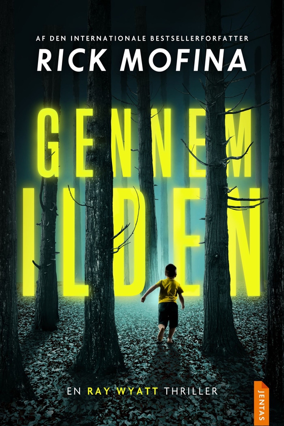 Gennem ilden (e-bog) af Rick Mofina