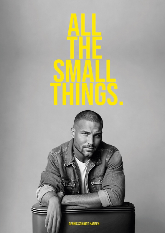 All the Small Things - Discovering the power of gratitude and appreciation (e-bog) af Dennis Schjødt Hansen