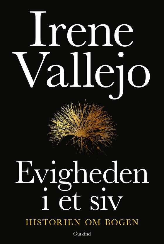 Evigheden i et siv - Historien om bogen (lydbog) af Irene Vallejo