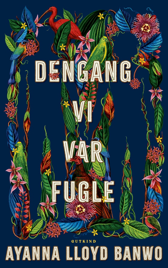 Dengang vi var fugle (e-bog) af Ayanna Lloyd Banwo