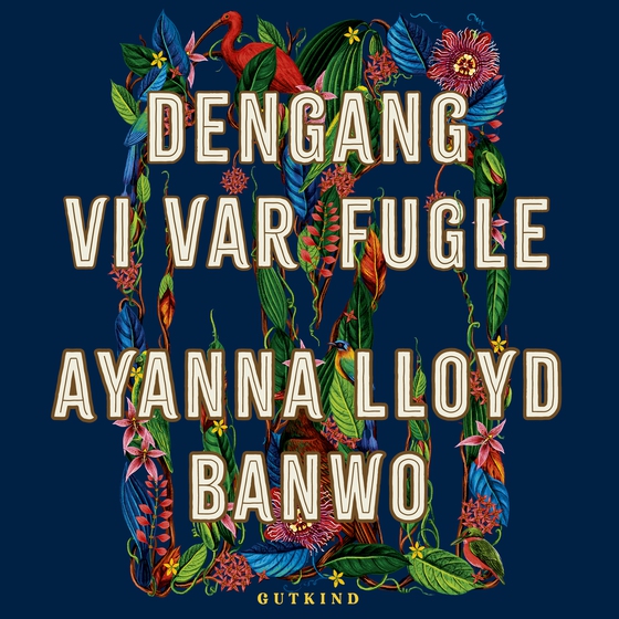 Dengang vi var fugle (lydbog) af Ayanna Lloyd Banwo