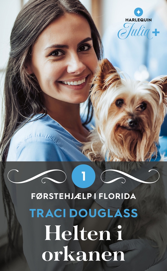 Helten i orkanen (e-bog) af Traci Douglass