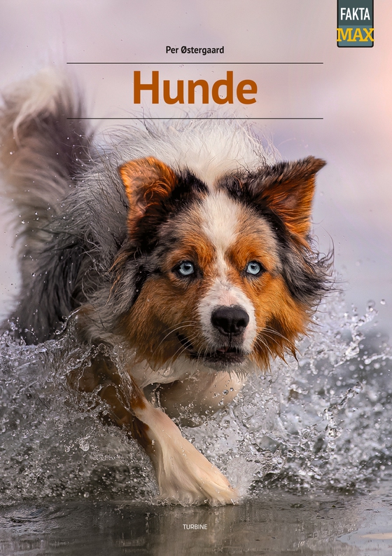 Hunde