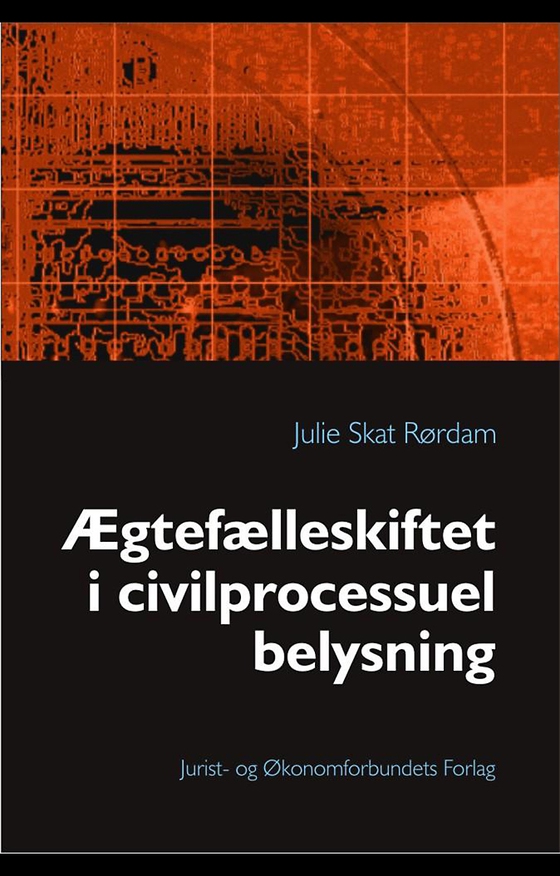 Ægtefælleskiftet i civilprocessuel belysning (e-bog) af Julie Skat Rørdam